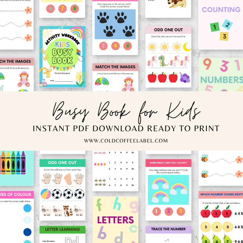 Busy Book for Kids